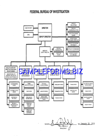 FBI Organizational Chart templates & samples forms